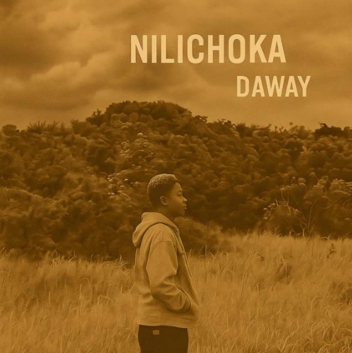 Nilichoka