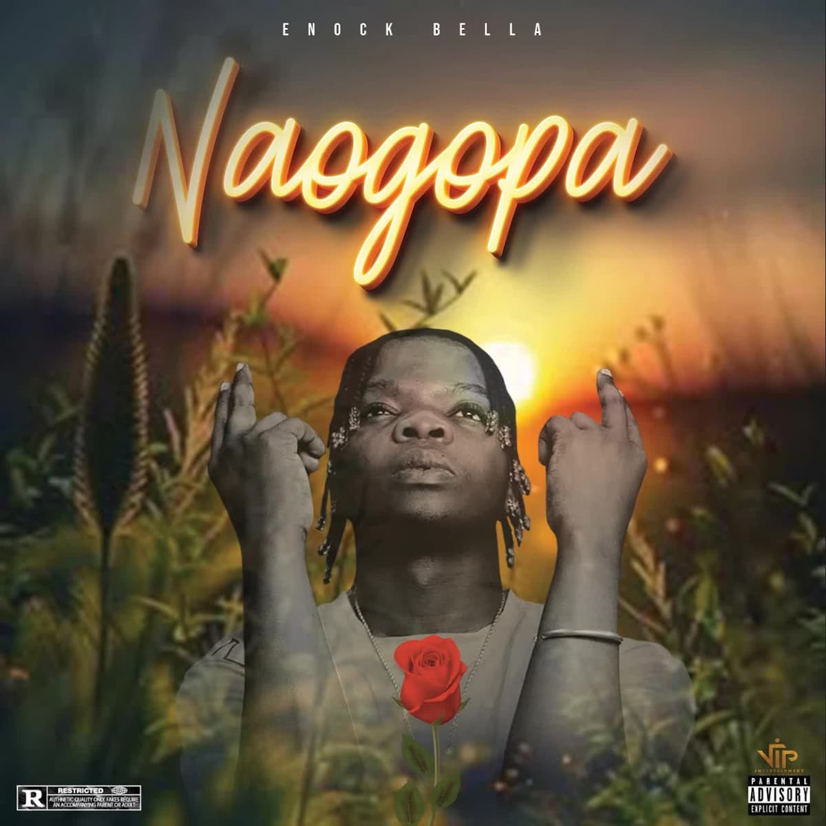 Naogopa