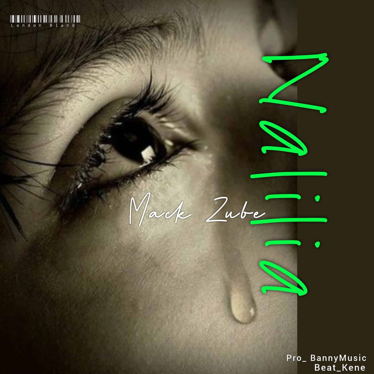 Nalilia