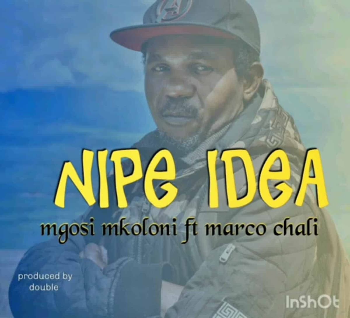 Nipe Idea