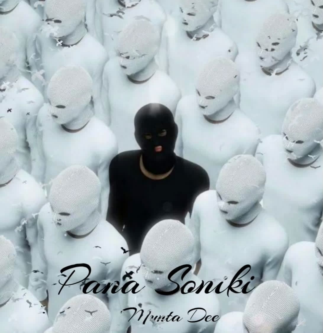 Pana soniki