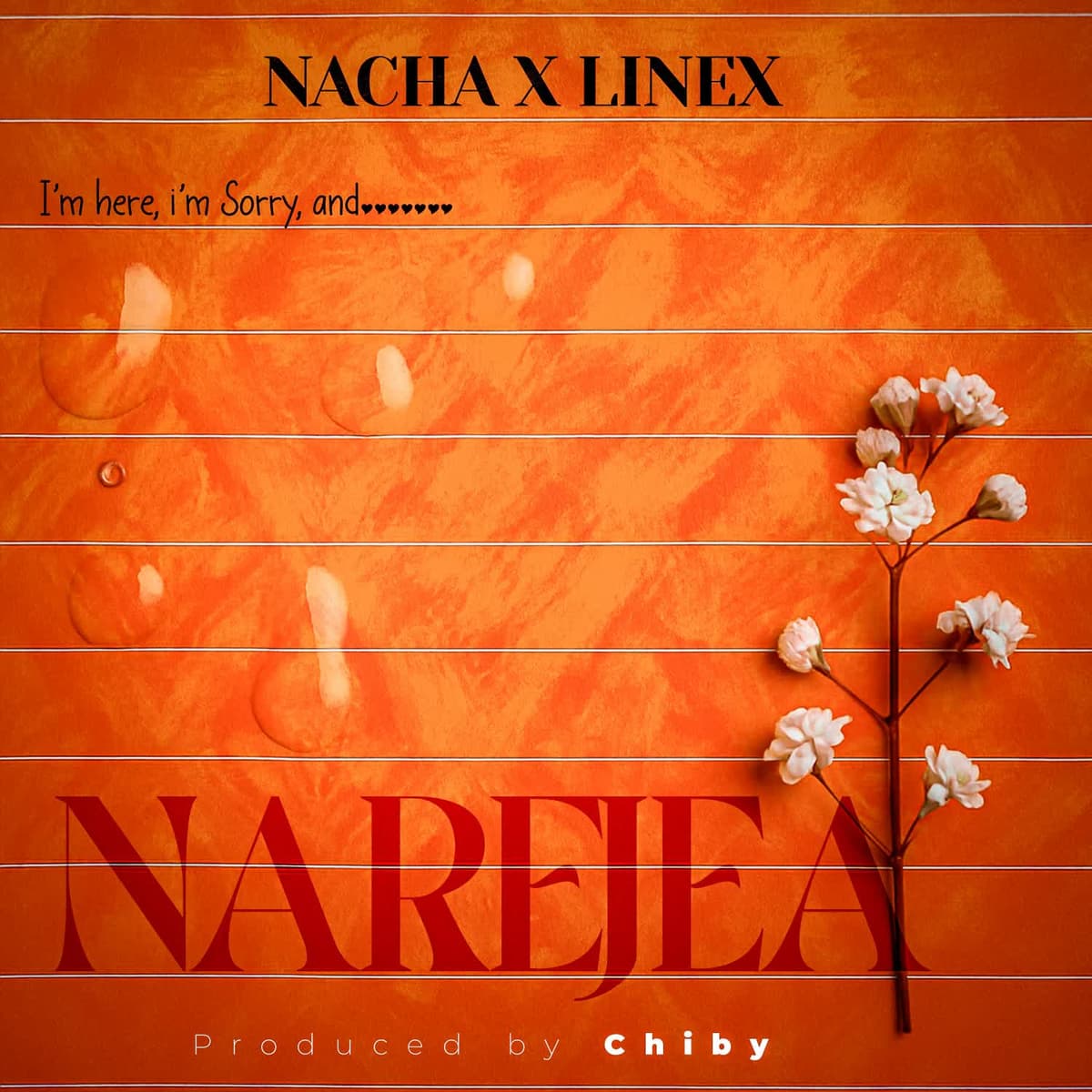 Narejea
