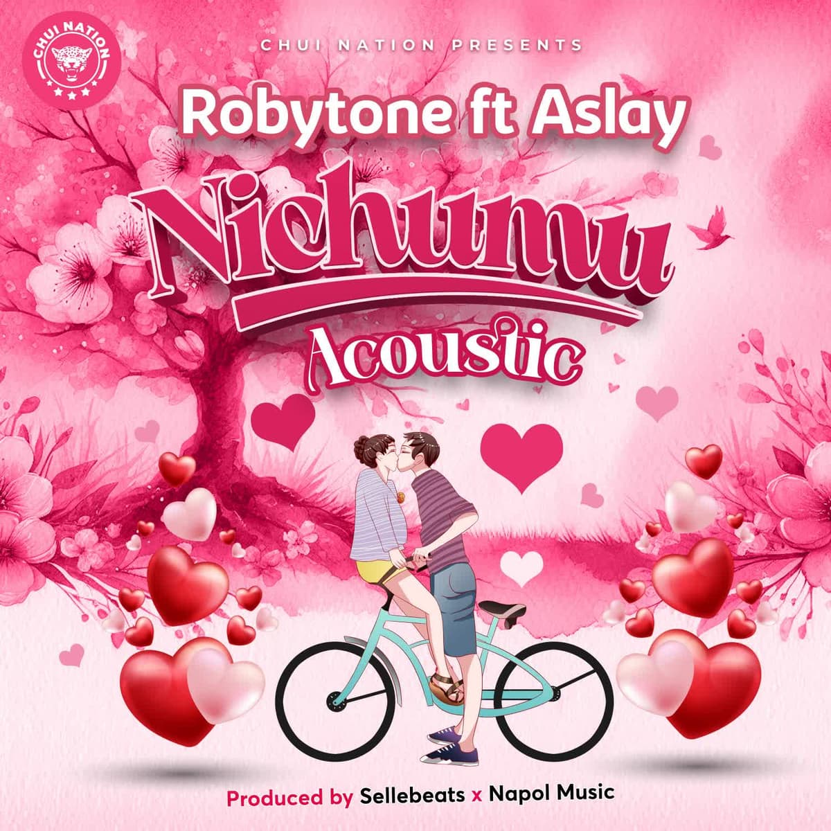 NICHUMU ACOUSTIC