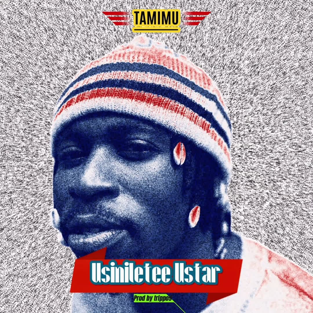 Usiniletee Ustar